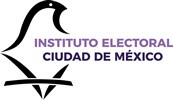 Instituto Electoral Ciudad de México